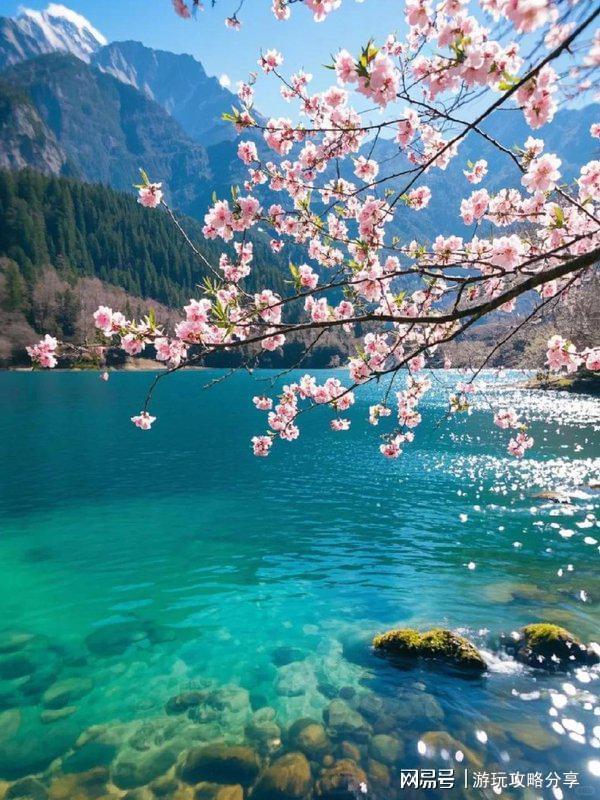 行 成都三日游超全四川旅行指南！PG电子麻将胡了成都怎么玩自由