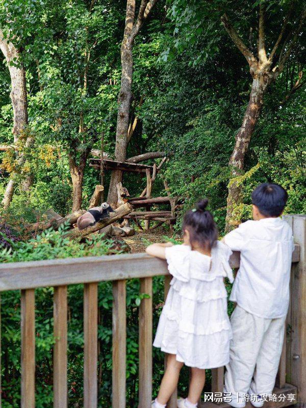 行 成都三日游超全四川旅行指南！PG电子麻将胡了成都怎么玩自由(图2)