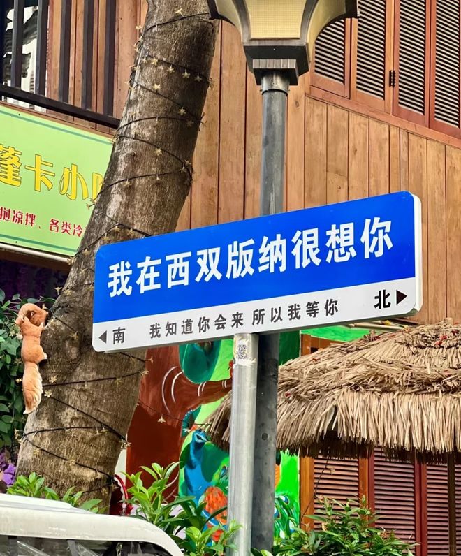 ！八天七晚热带狂欢之旅麻将胡了毕业季·去版纳(图2)