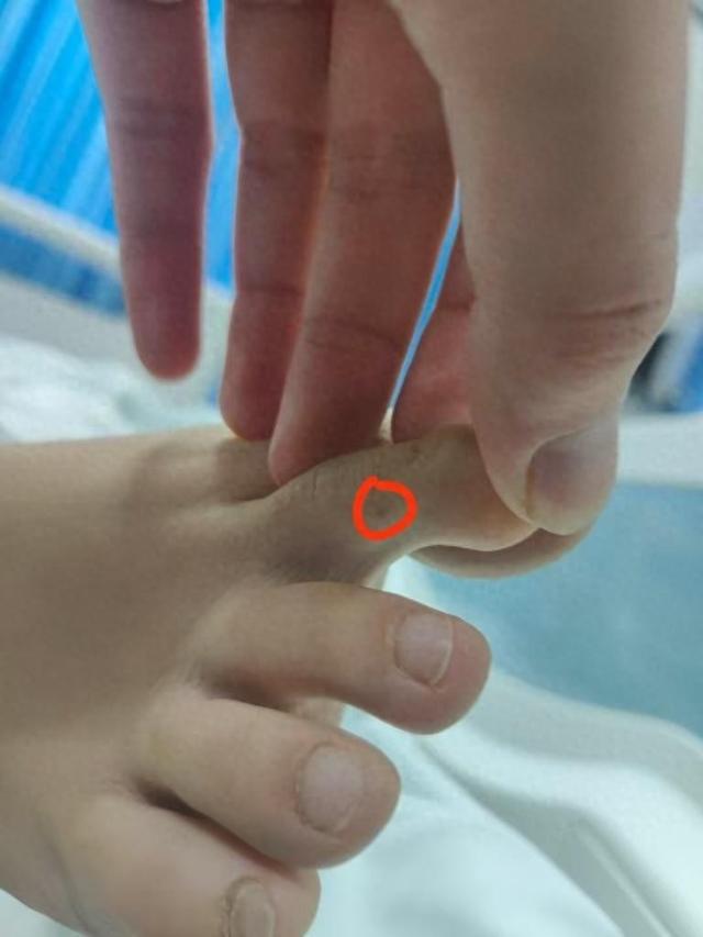 直播回应质疑：没提任何索赔只希望调查清楚PG麻将胡了2模拟器三亚身亡女游客堂姐(图1)