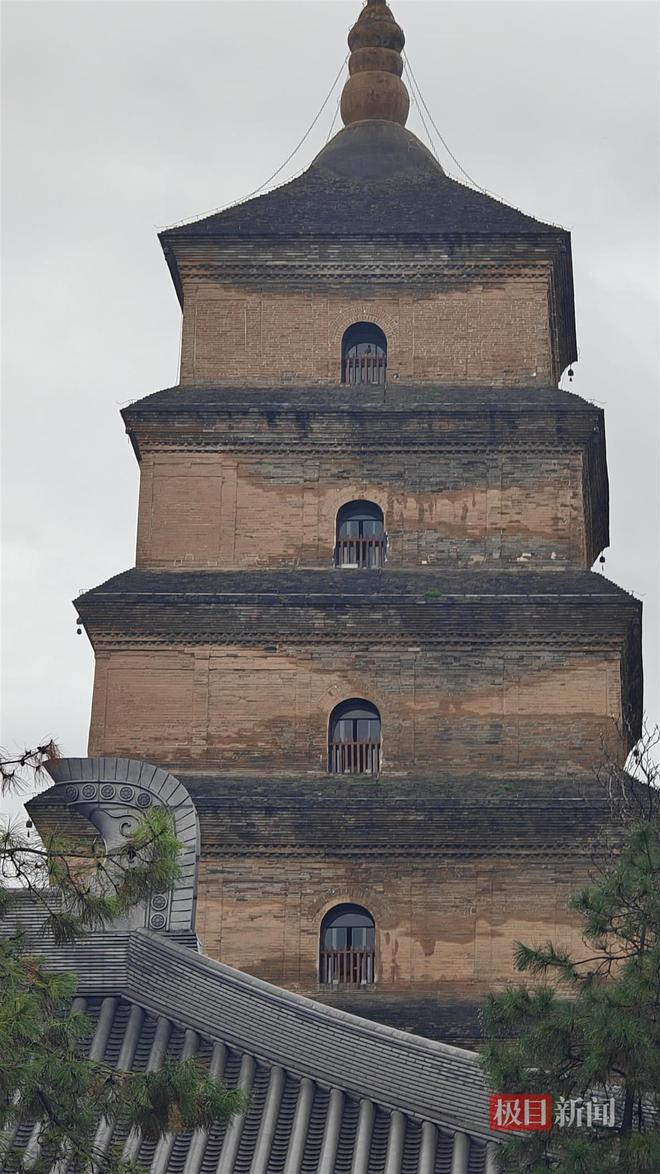 蘑菇大雁塔受潮城墙布满青苔气象局解释成因麻将胡了网址西安连续一个多月降雨遍地长(图3)